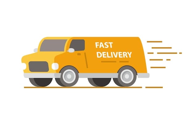 Fast Delivery